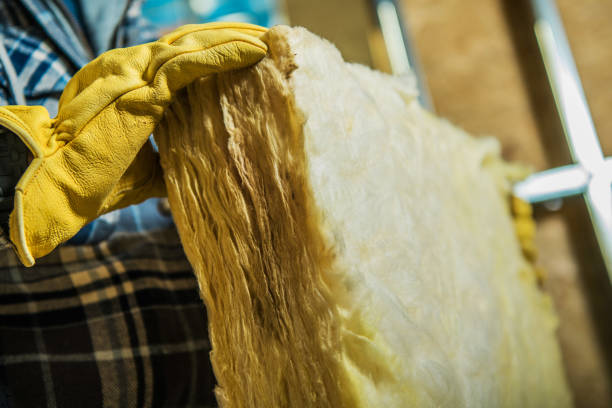 Best Commercial Insulation in South Cleveland, TN